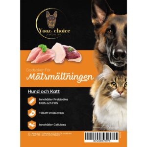 Magsmältning