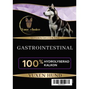 Gastrointestinal Matsmältningsvård