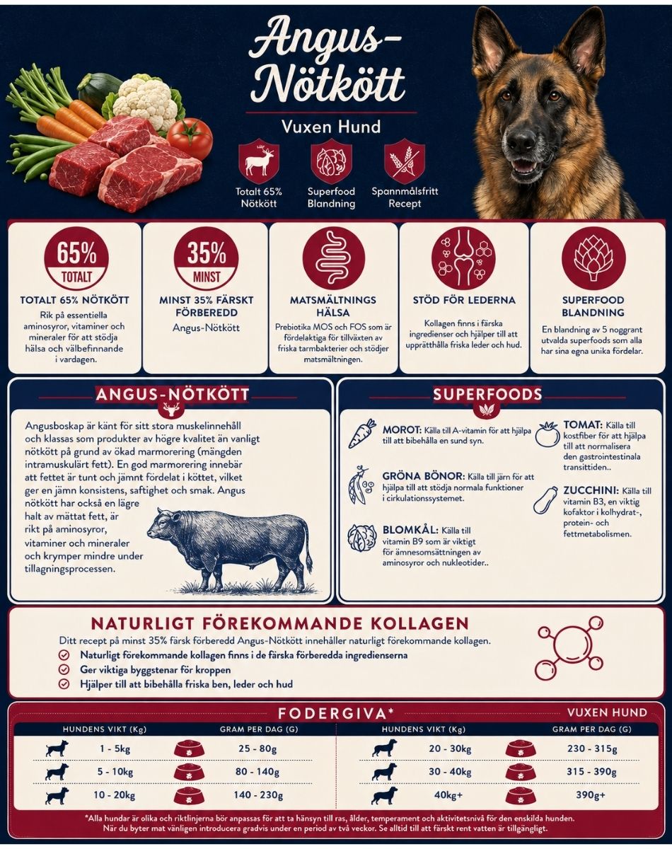 Premiumhundfoder med 65% Angus-nötkött och superfoods – spannmålsfritt hundfoder från YoozChoice