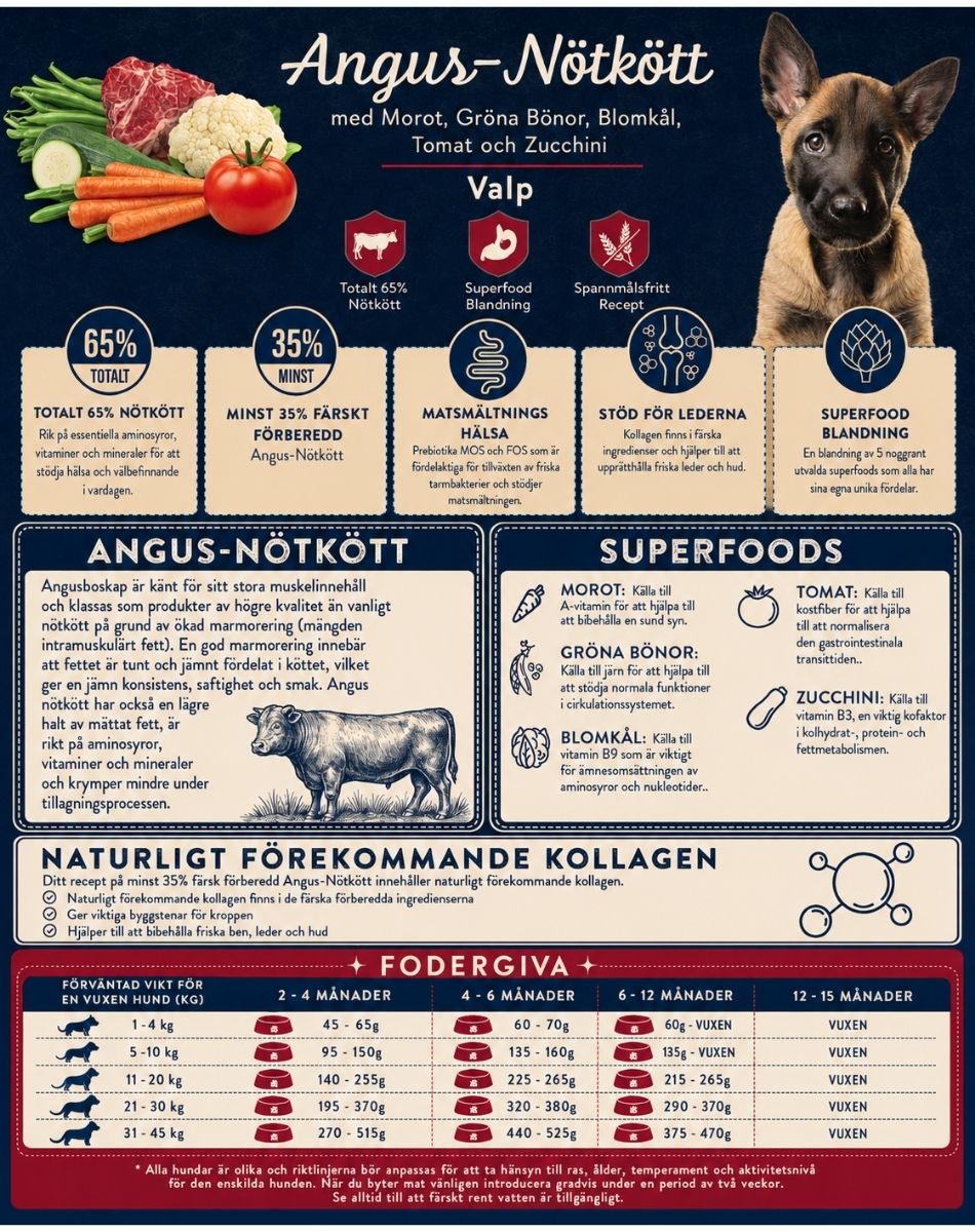 Premiumvalpfoder med 65% Angus-nötkött, glukosamin och prebiotika – spannmålsfritt hundfoder från YoozChoice
